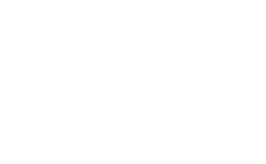 audi Audi